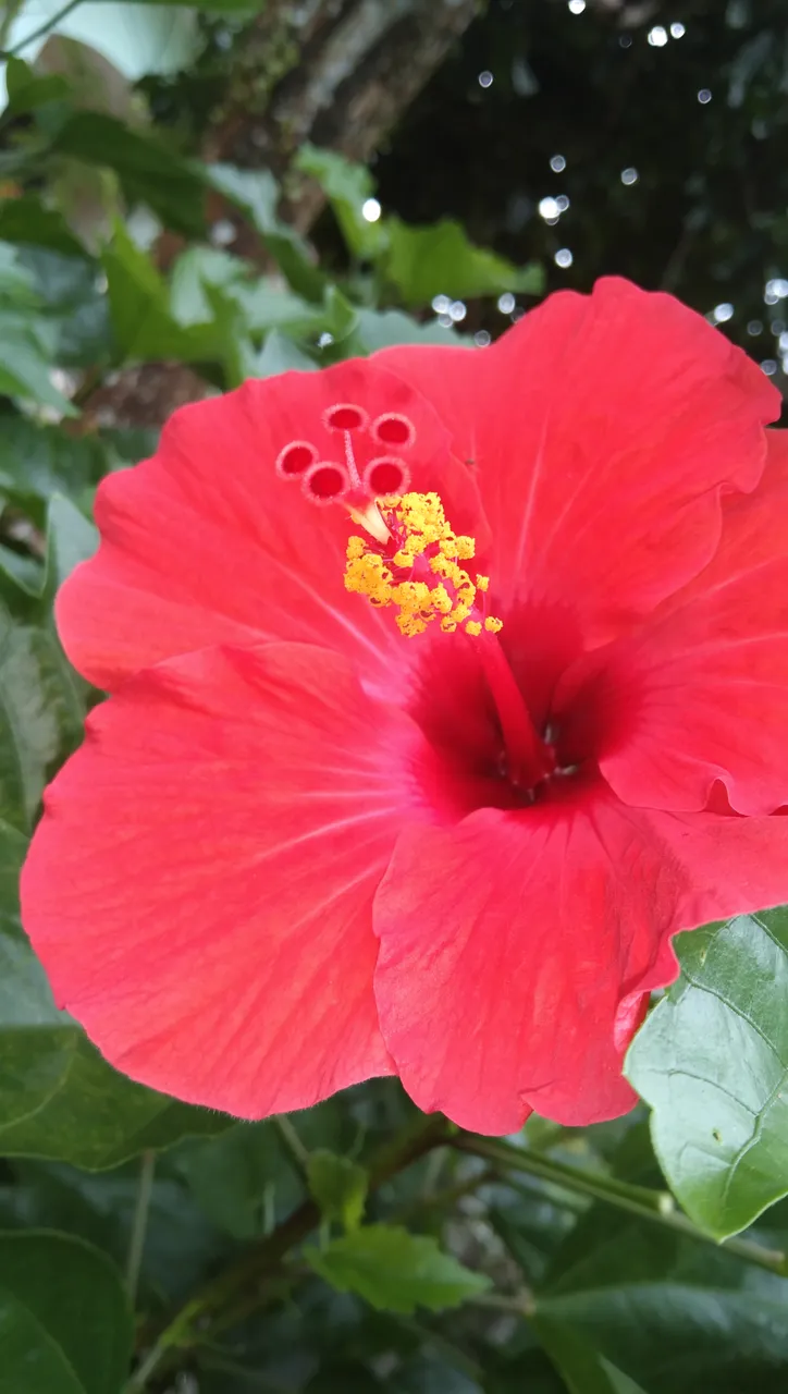 IMG_20200918_082425.jpg