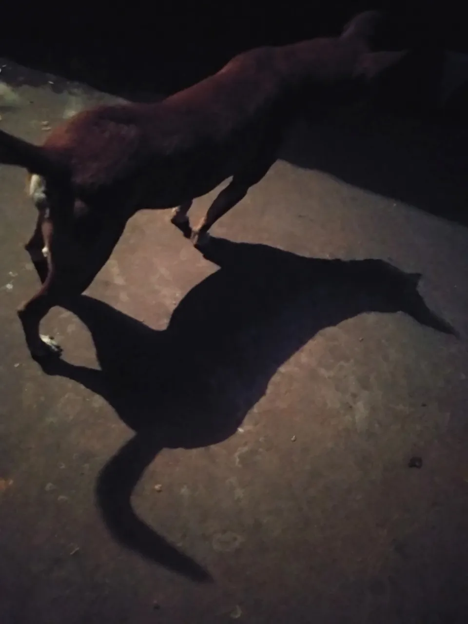 IMG_20220101_194758.jpg