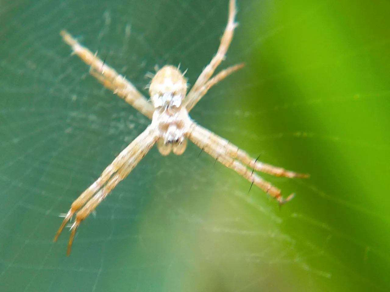 IMG_20220118_164714.jpg