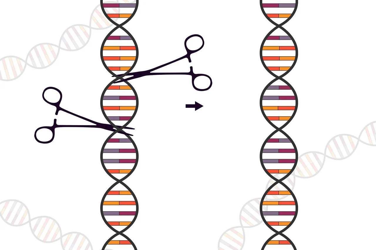 crispr-5635795_1920.jpg