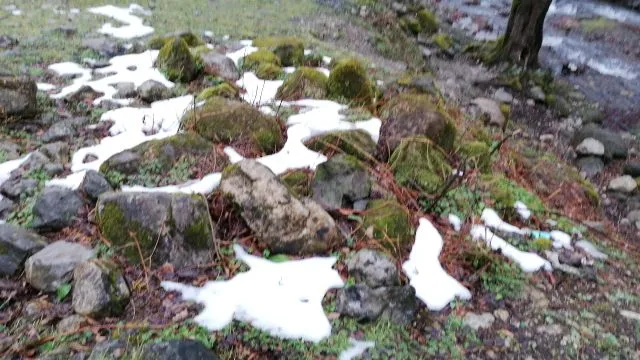 IMG_20240201_161532.jpg