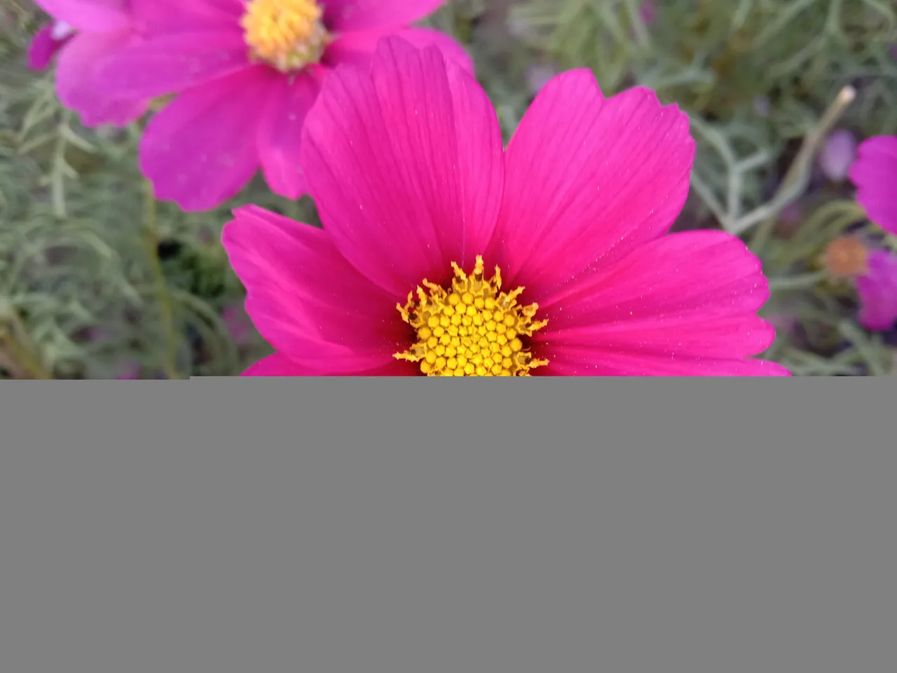 IMG_20201213_161519.jpg