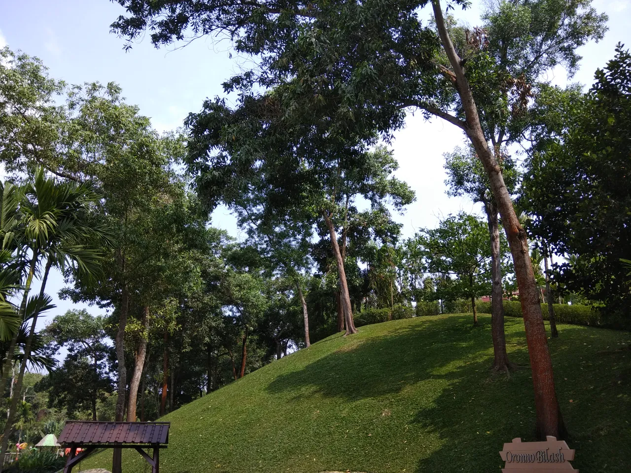 IMG_20180317_102059.jpg
