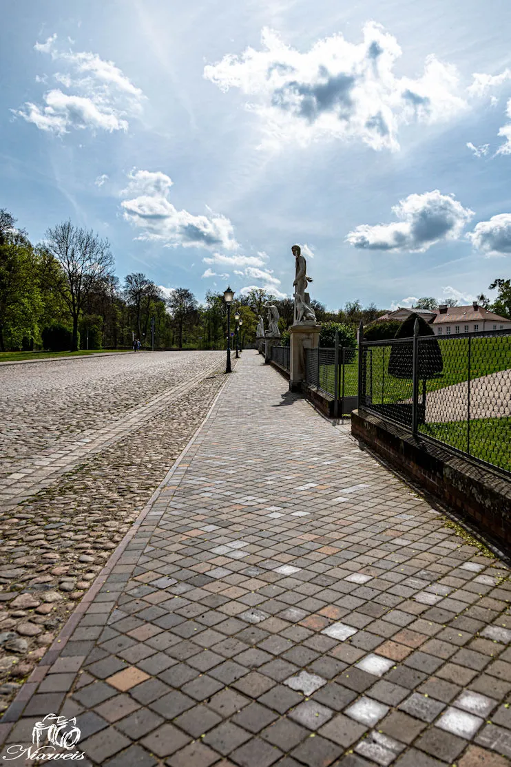 "DSC_5745-Bearbeitet.jpg"