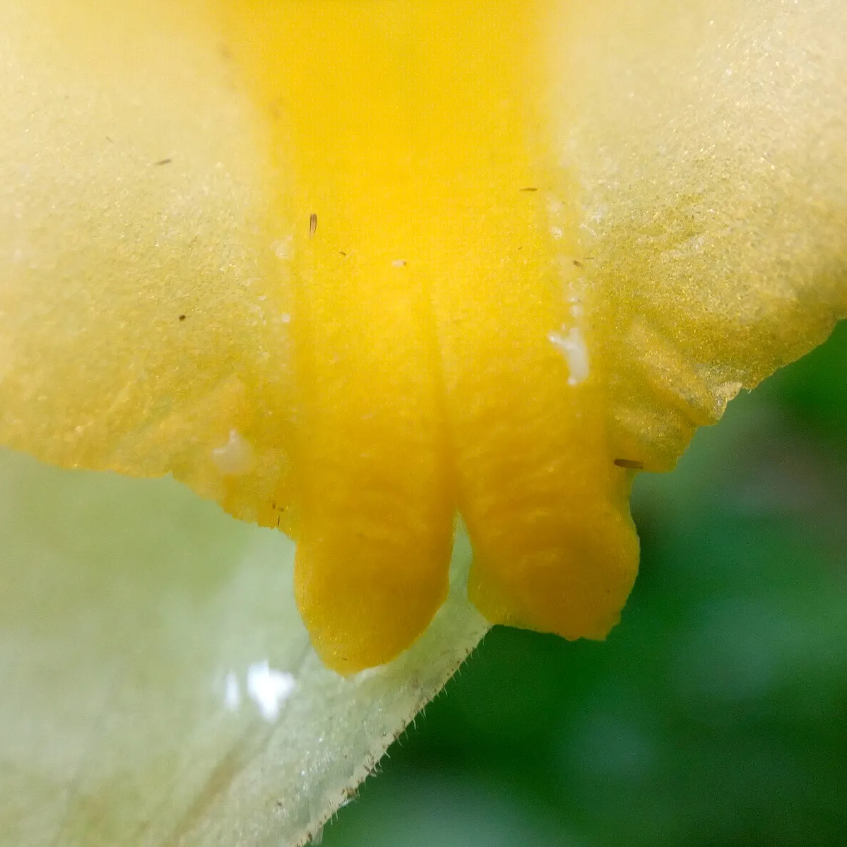IMG_20201026_175634.jpg