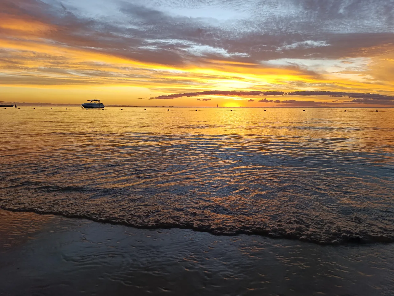 IMG_20250405_180952.jpg