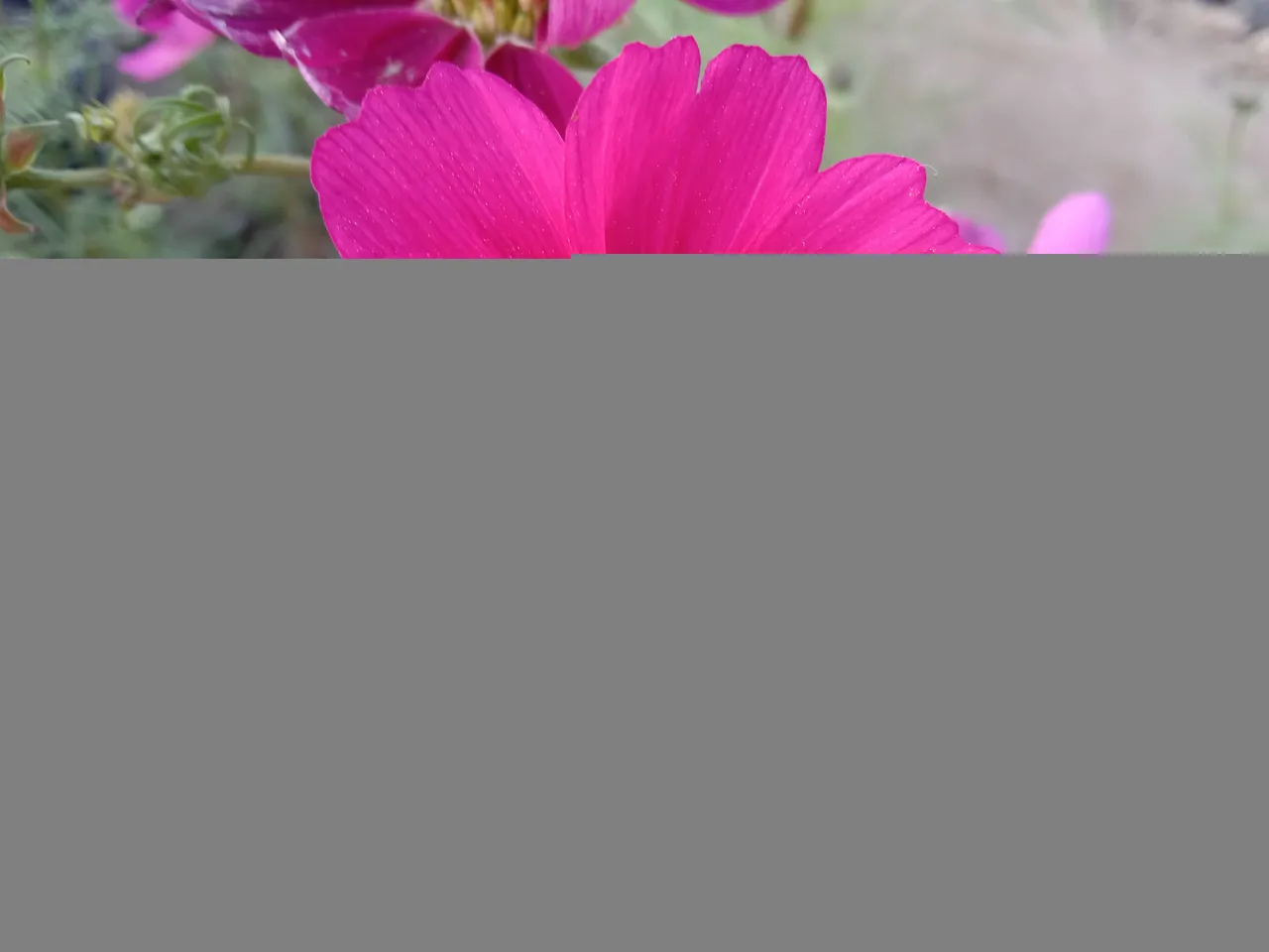 IMG_20201213_161339.jpg