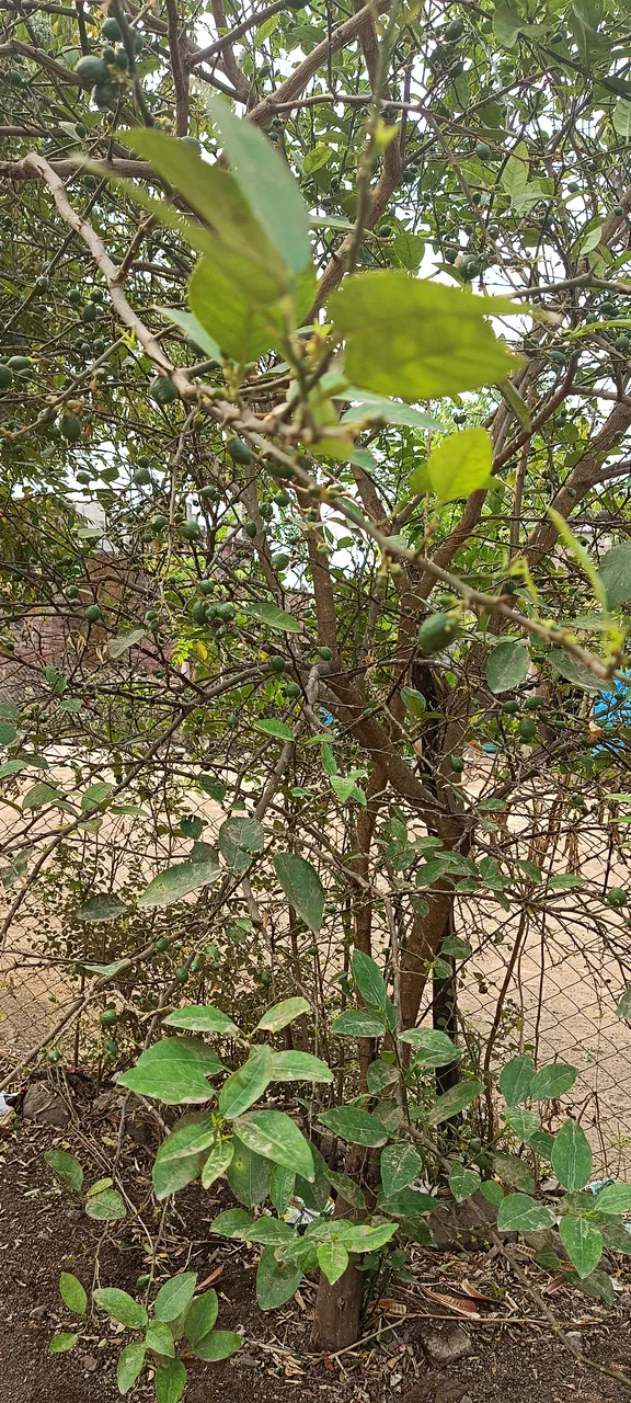 IMG_20230307_100840.jpg