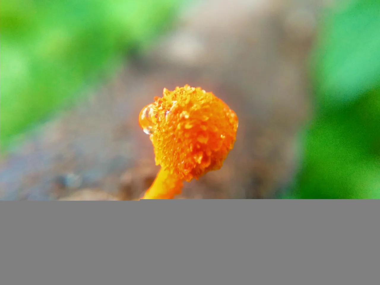 IMG_20220109_201445.jpg