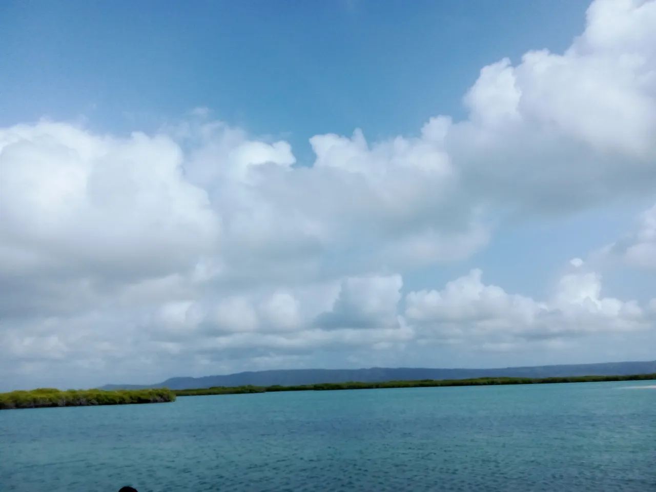 IMG_20240316_092151.jpg