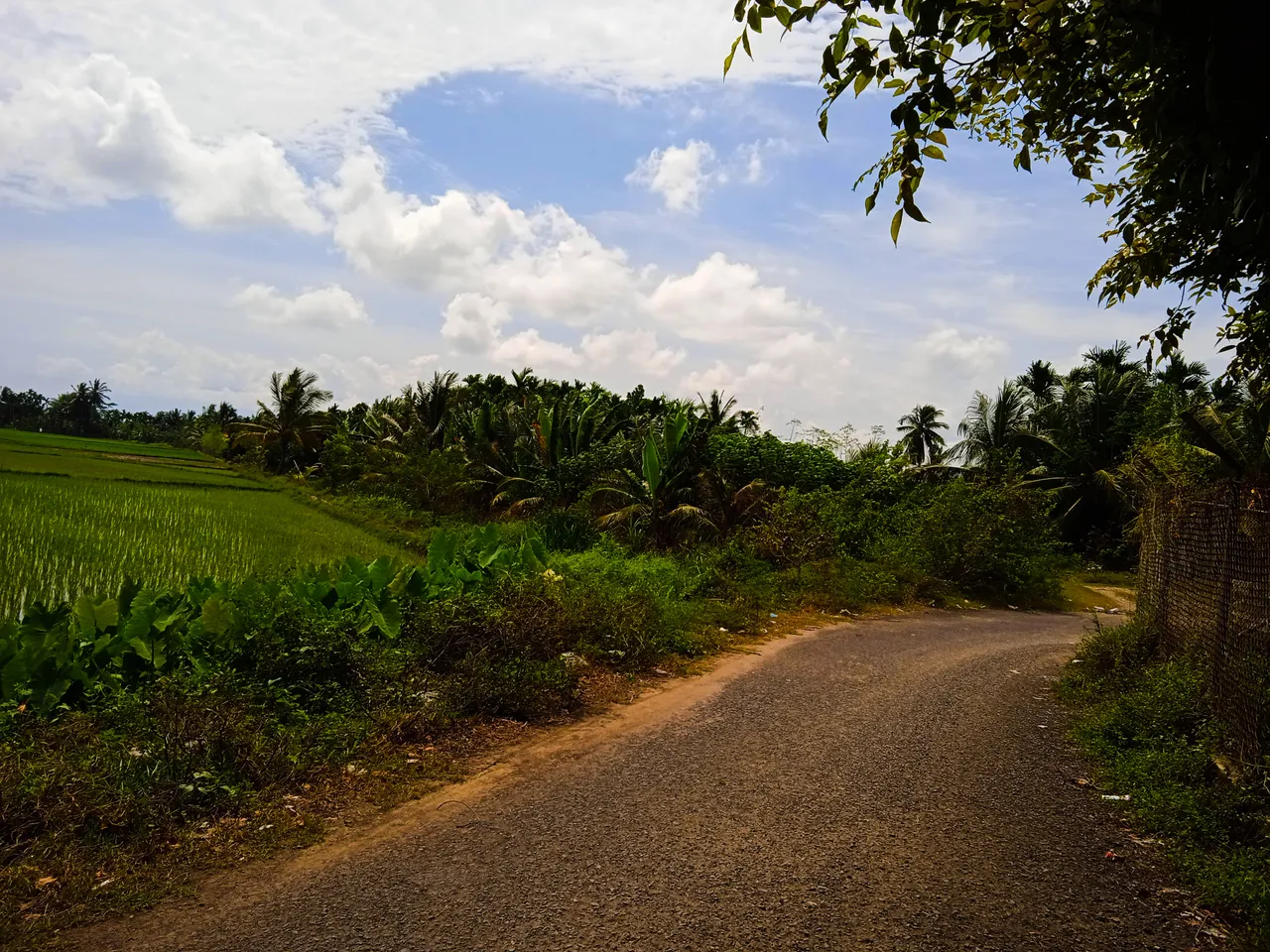 PSX_20220126_132805.jpg