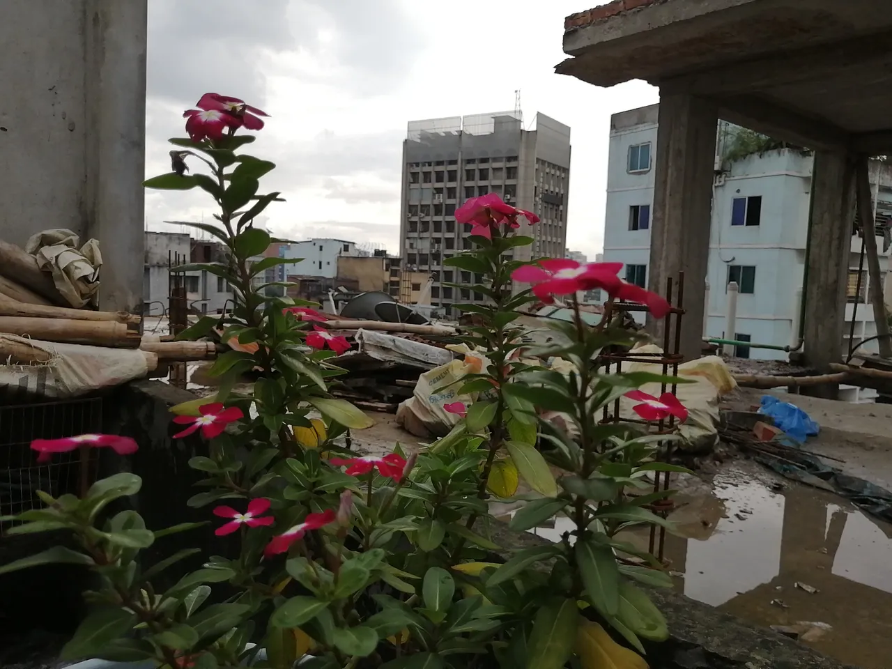 IMG_20191010_151951.jpg