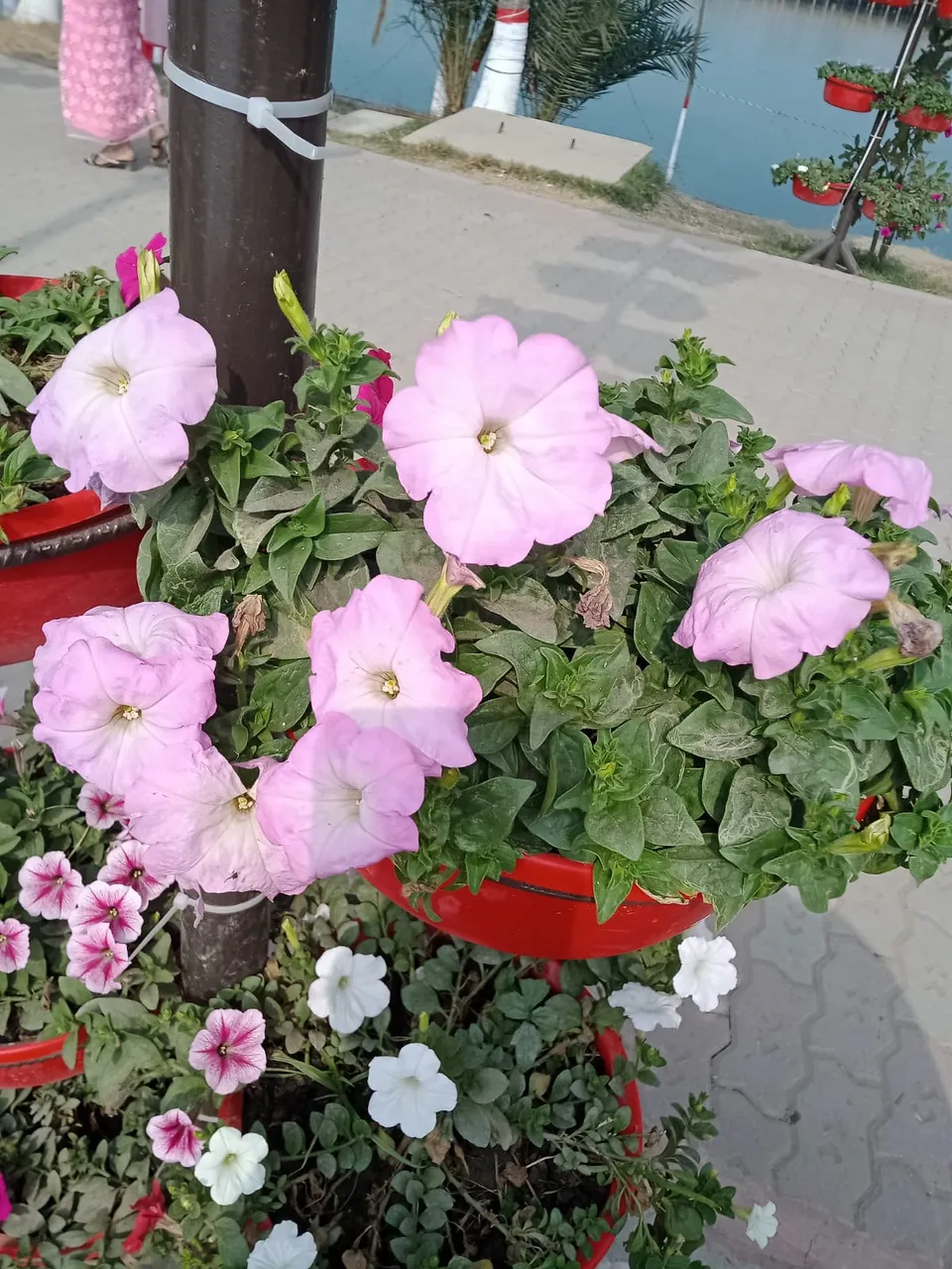 "IMG-20250129-WA0005.jpg"