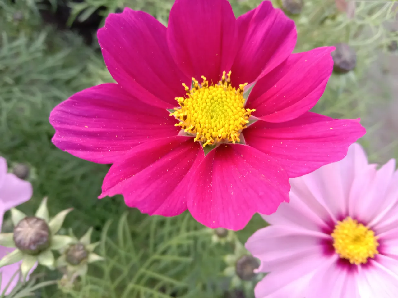 IMG_20201213_161258.jpg