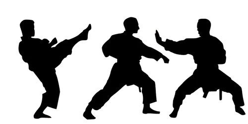 karate-4002261_1280.png
