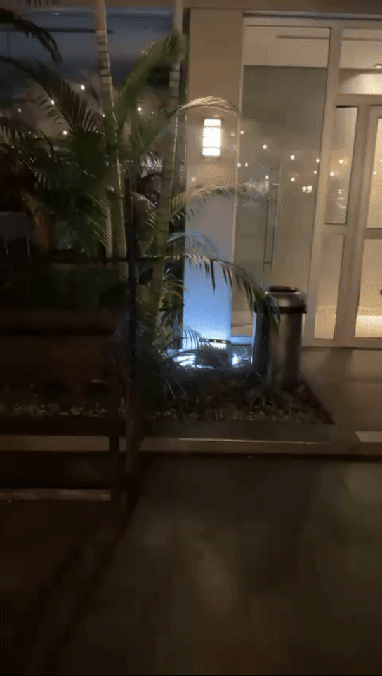 VID-20241231-WA0022.gif