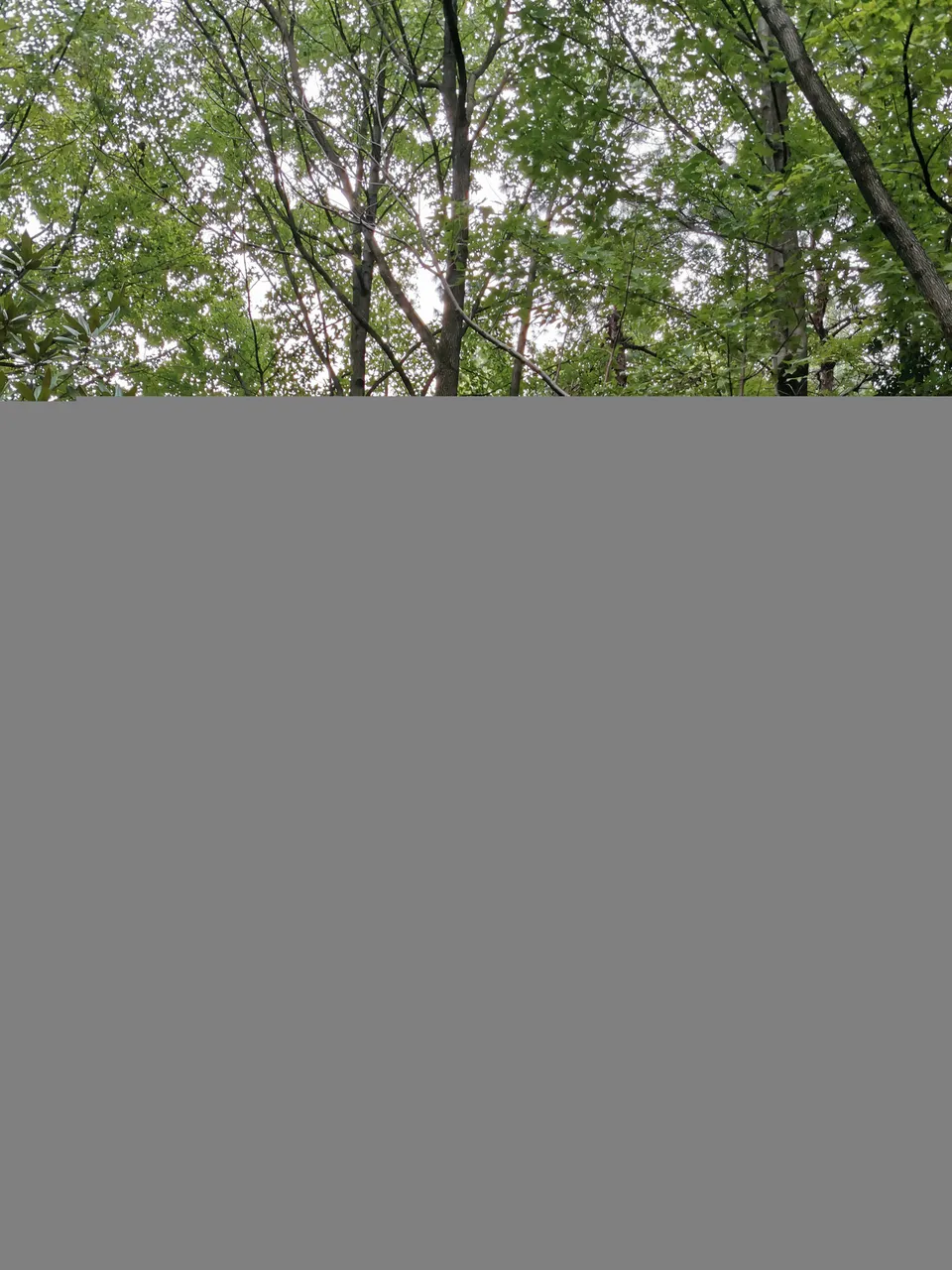 IMG_20231006_162624.jpg