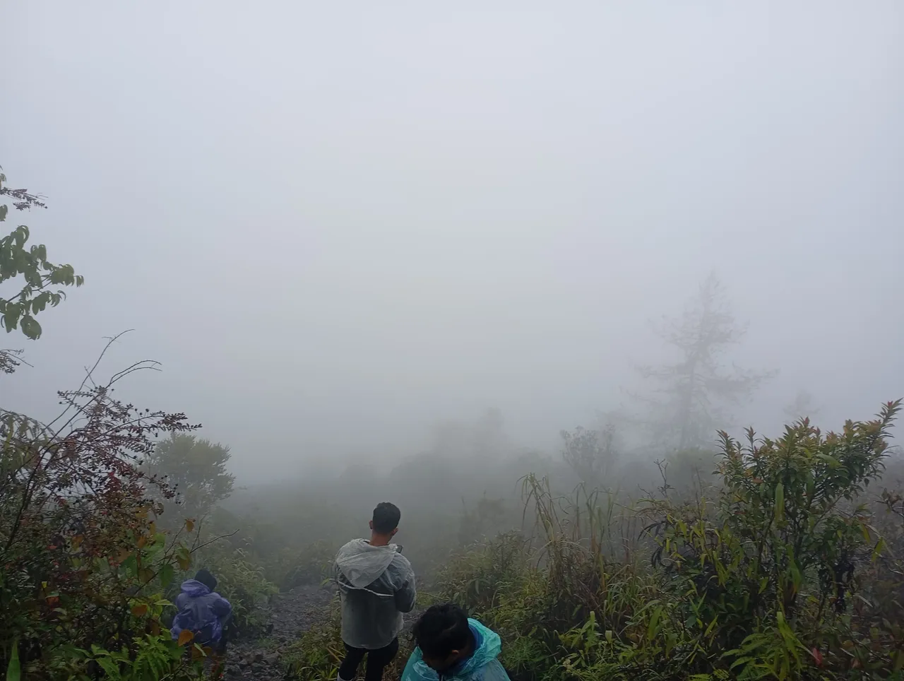 IMG-20250801-WA0032.jpg