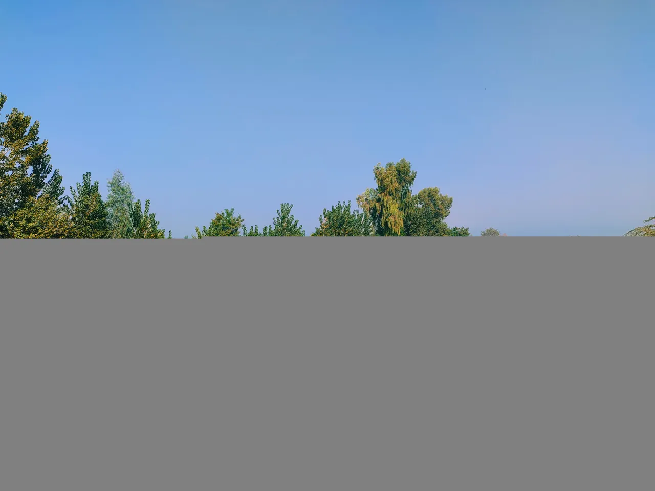 IMG_20211126_103400.jpg