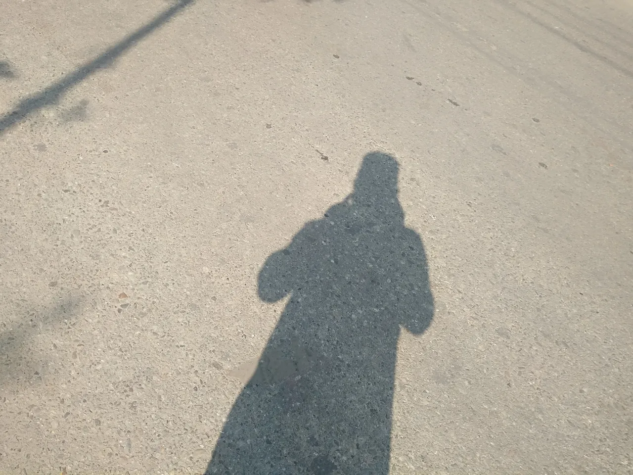 IMG_20211103_134639.jpg