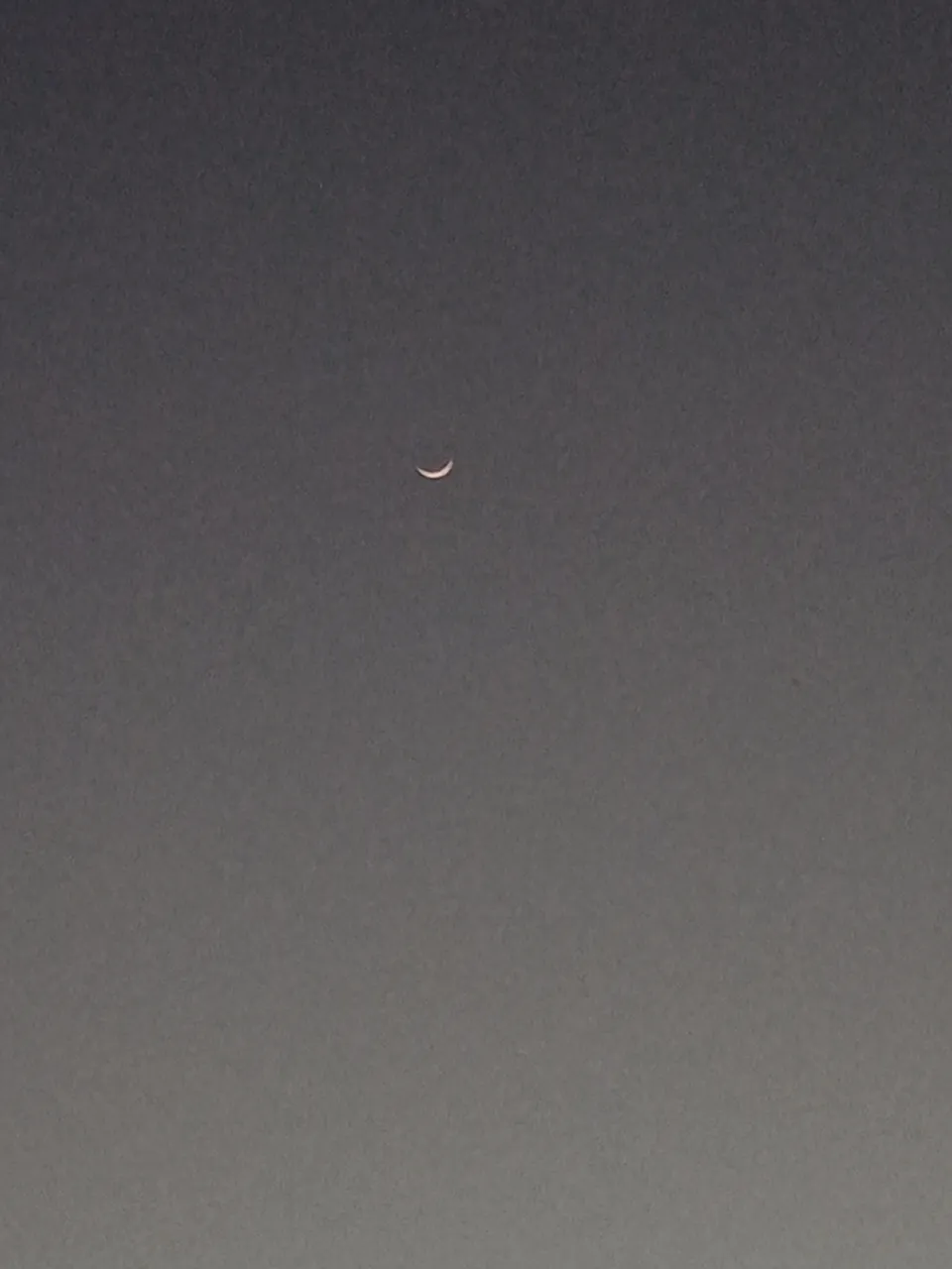 IMG_20220105_182348.jpg