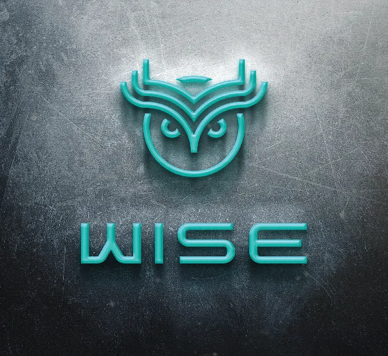 WISEstyleA761x697.png
