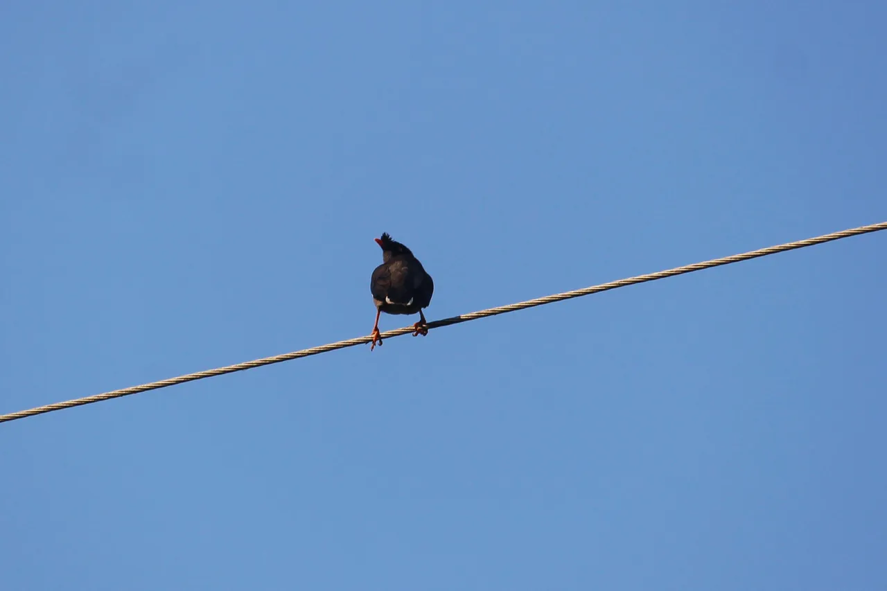 IMG_20201229_221214.jpg