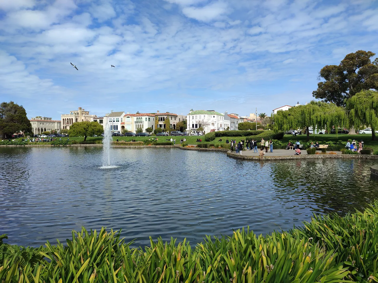 IMG_20230408_153559.jpg