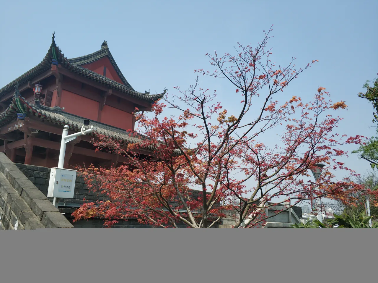 IMG_20190405_124618.jpg