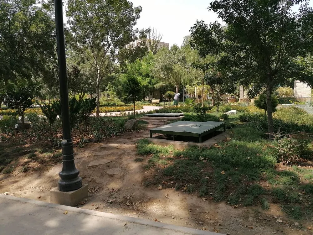 park9873284 (28).jpeg
