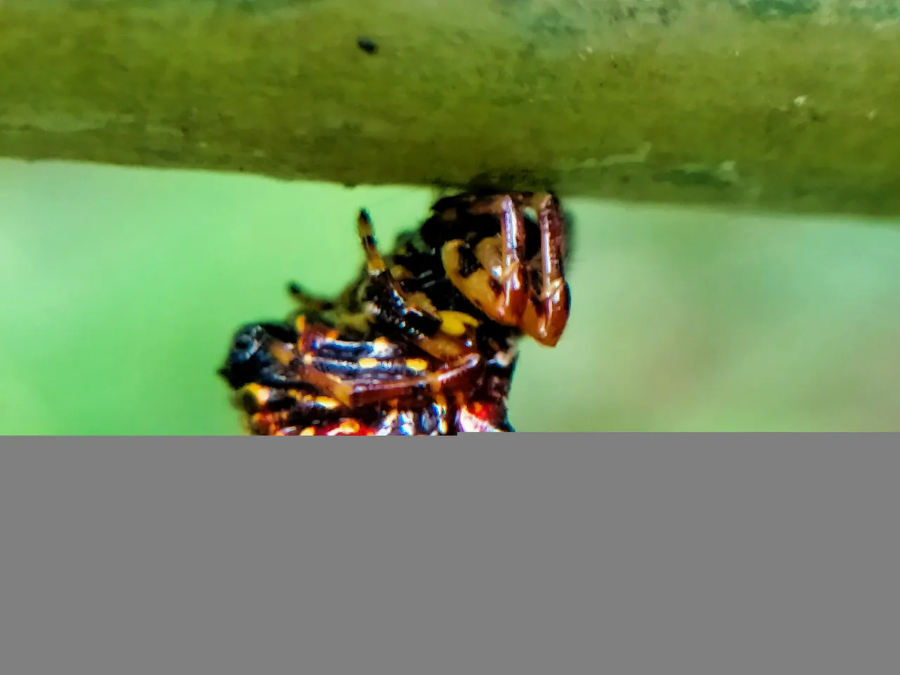IMG_20220110_203818.jpg