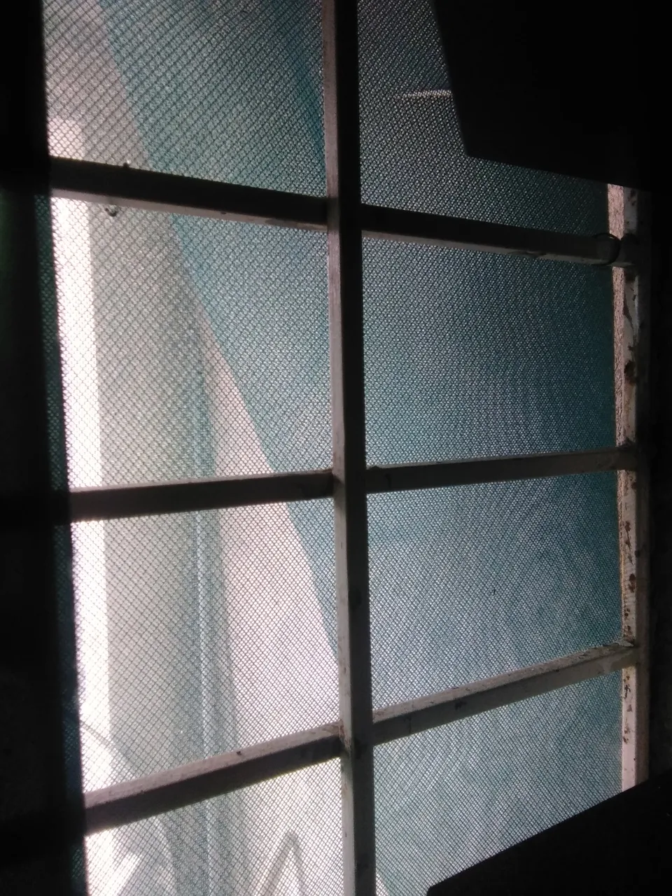 IMG_20220403_151314.jpg