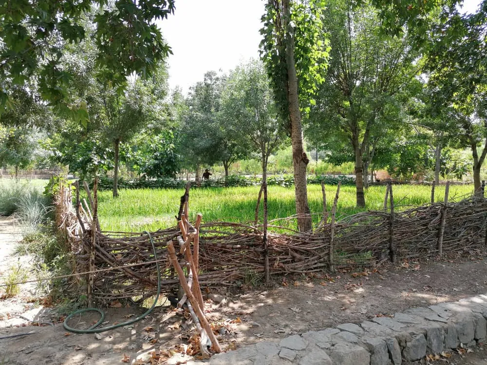 park9873284 (24).jpeg