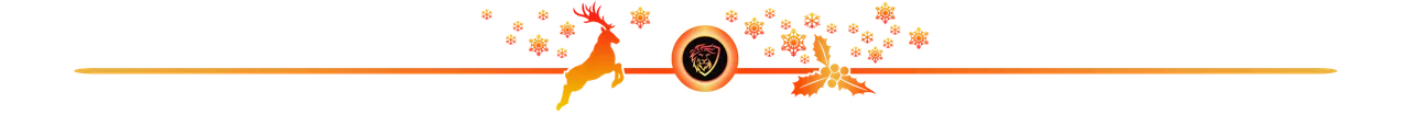 pg divider 05_6.png