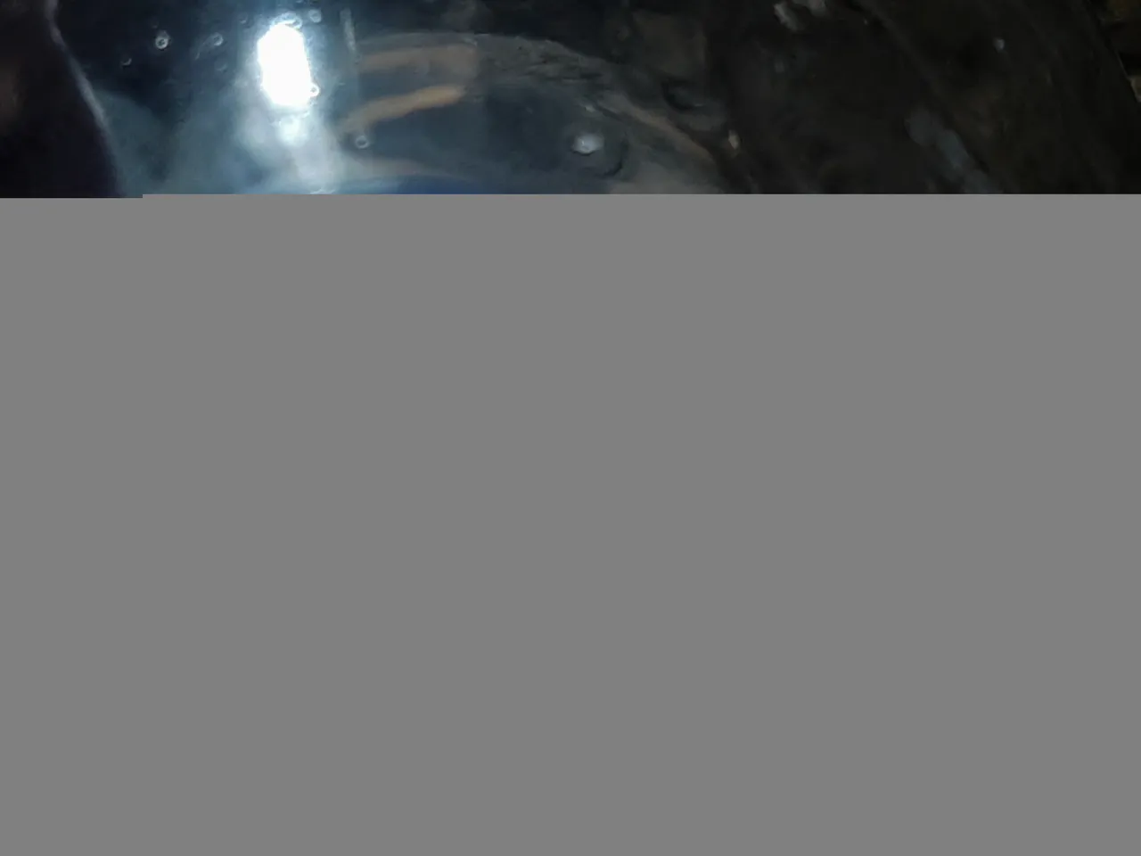 20220816_094446-01.jpeg