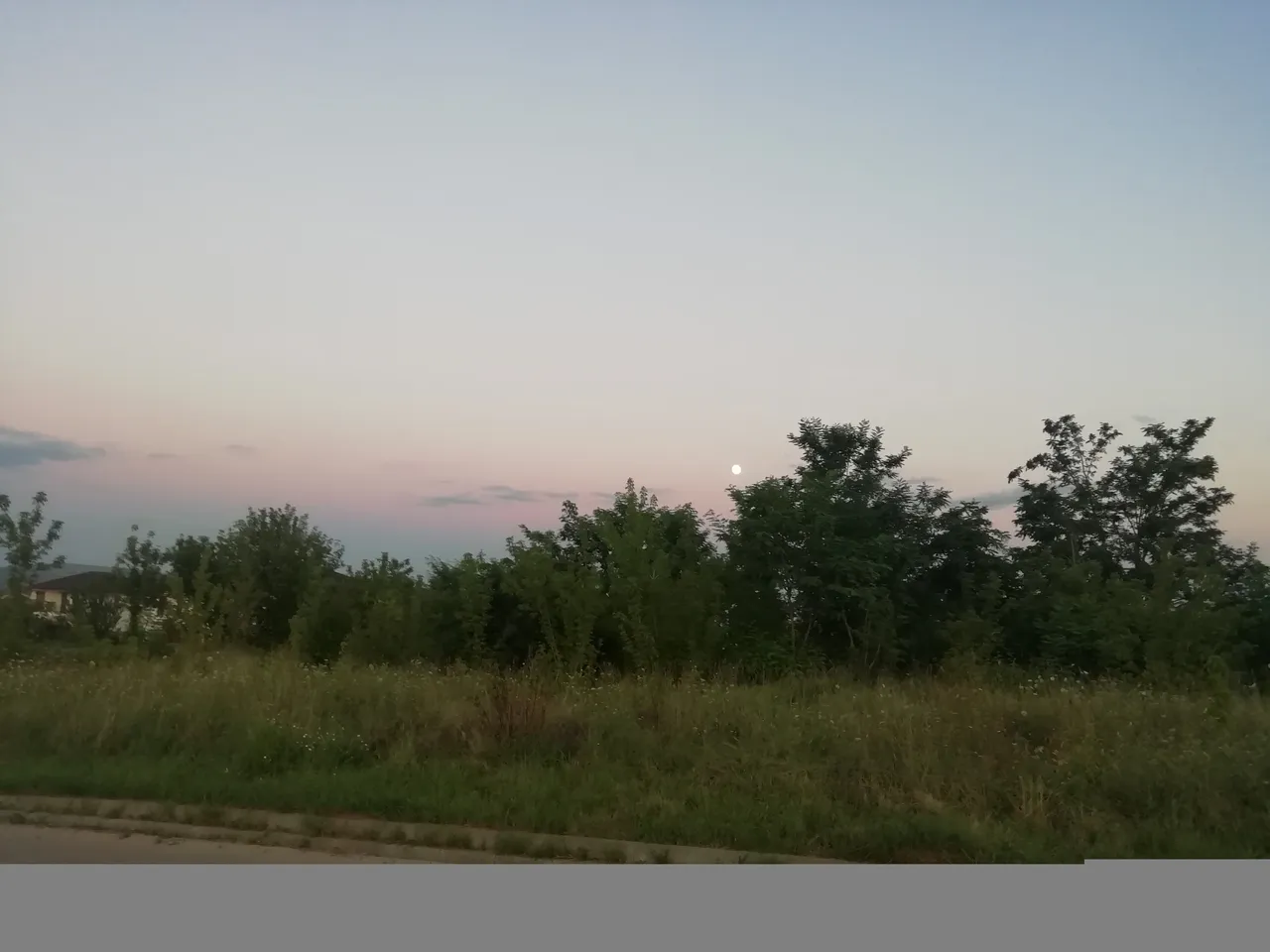 IMG_20200801_210629.jpg