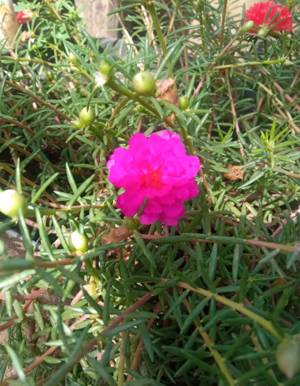 IMG_20231030_093038.jpg