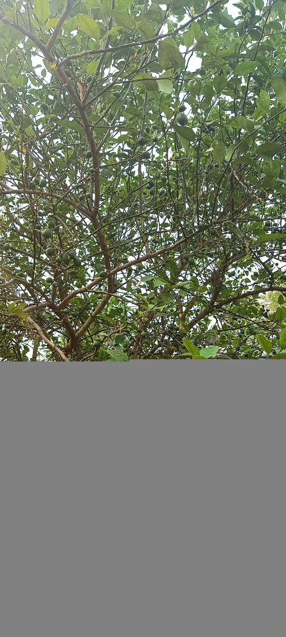 IMG_20230307_100954.jpg