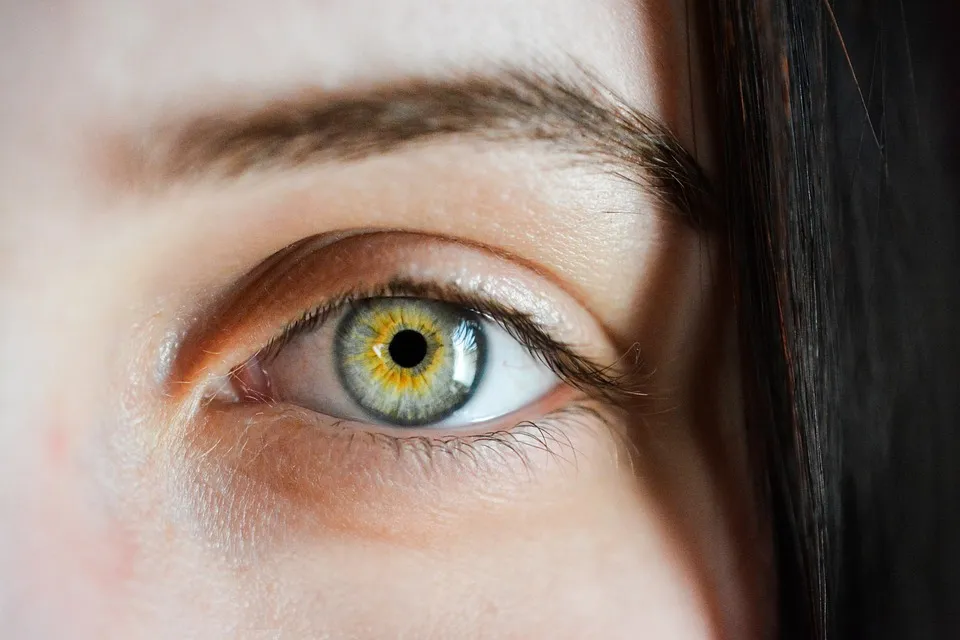 eye-2340806_960_720.jpg
