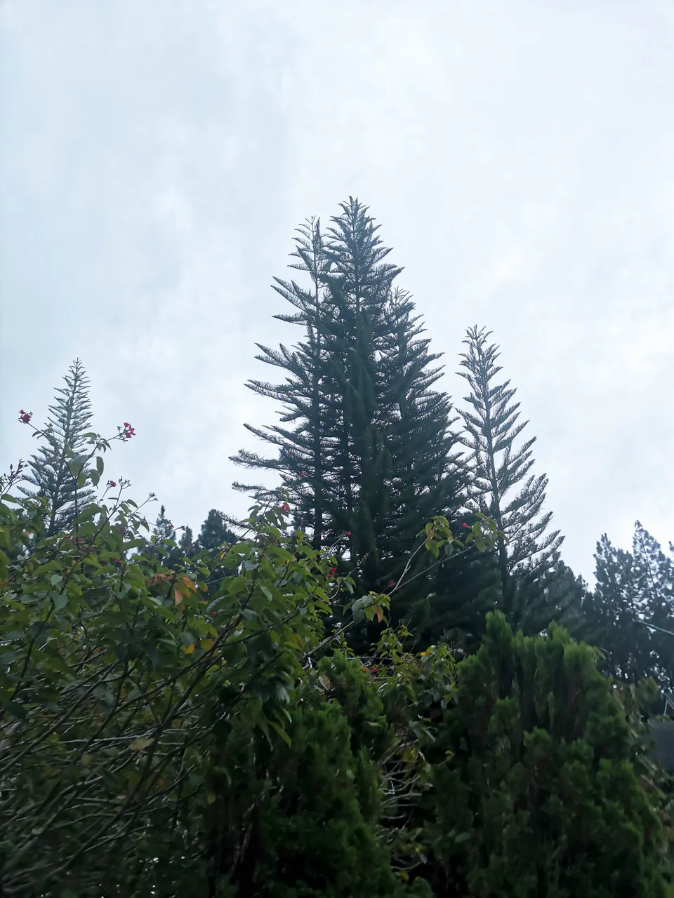 IMG_20220827_162415.jpg