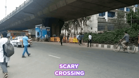 giphy final (1).gif