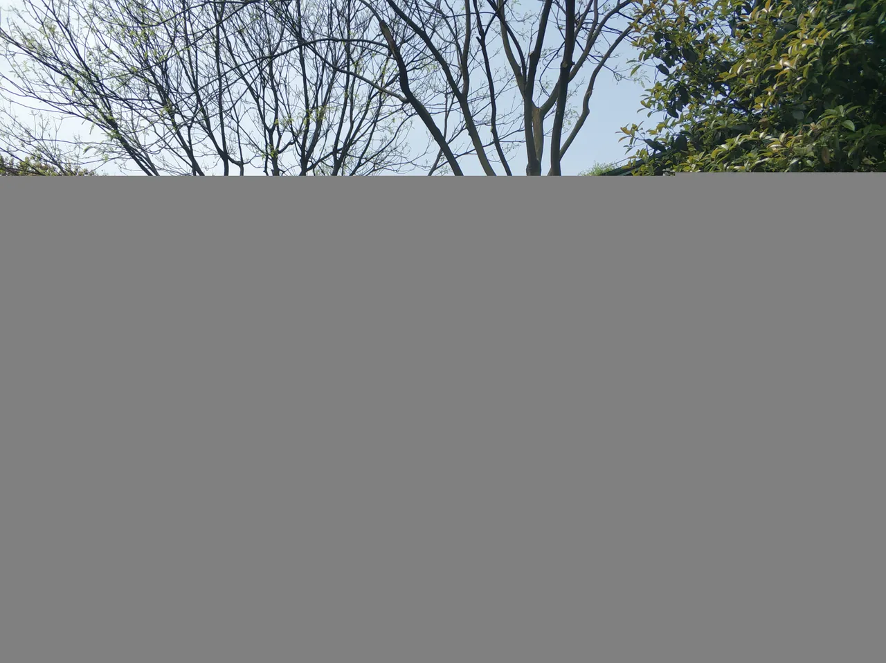 IMG_20190405_121941.jpg