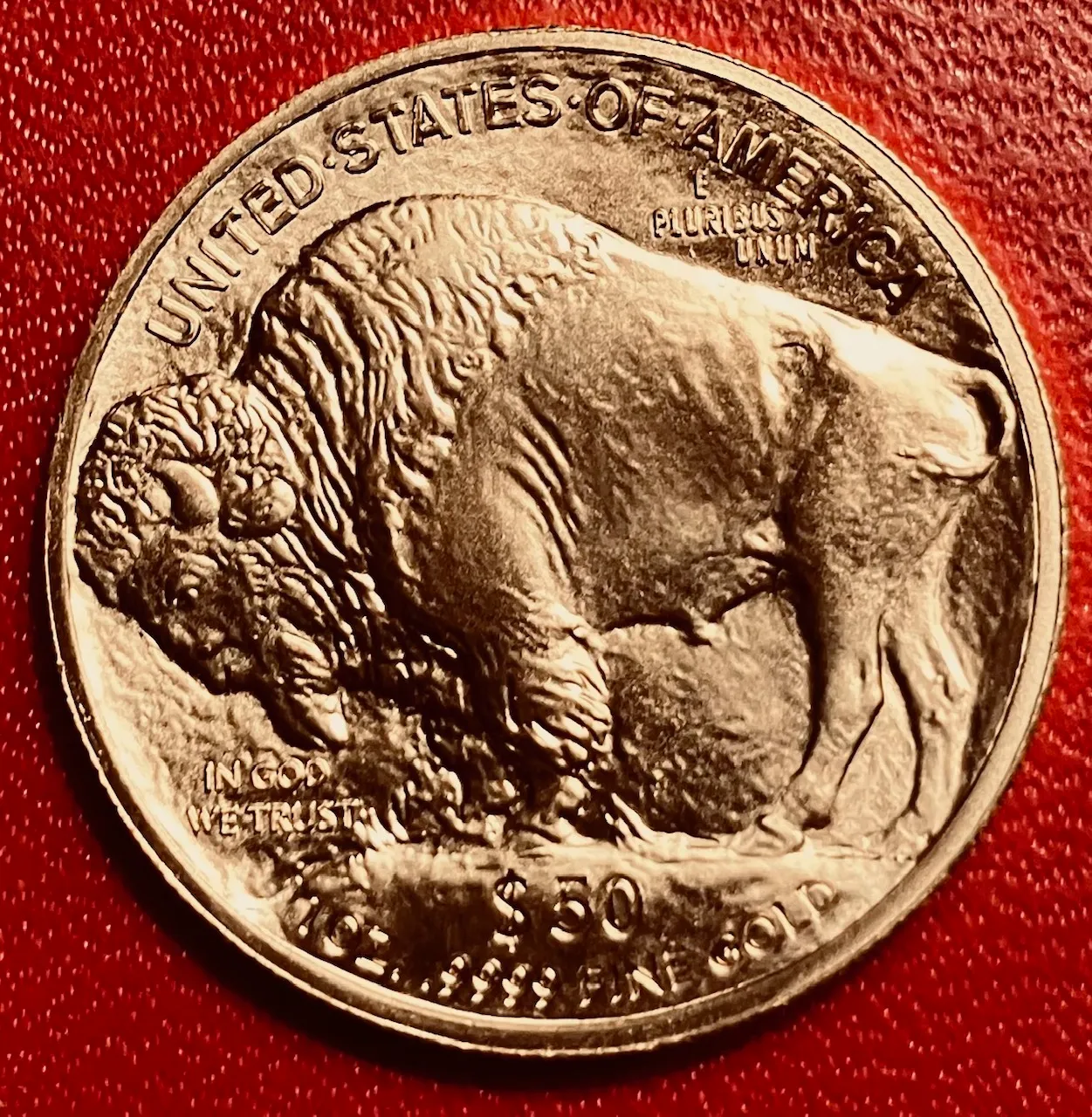 Buffalo Avatar....jpg