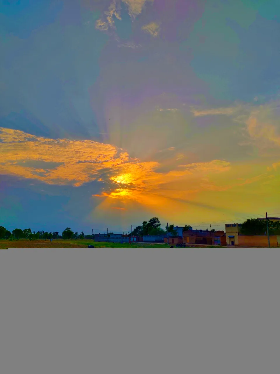 IMG_20230630_071731.jpg