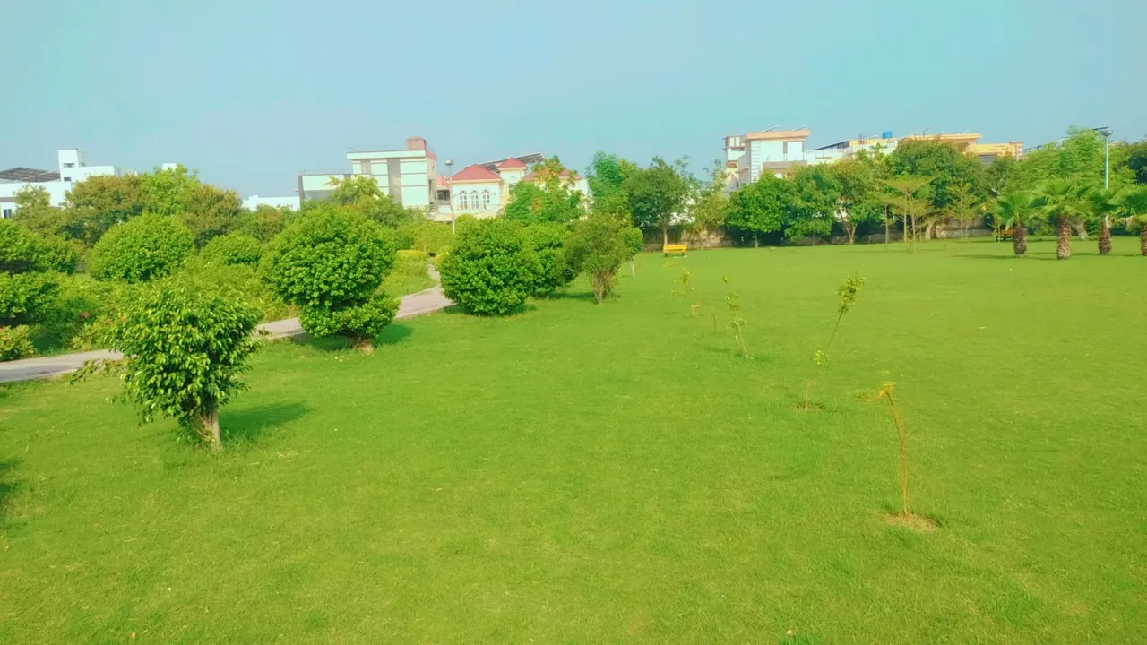 IMG_20250803_062357.jpg