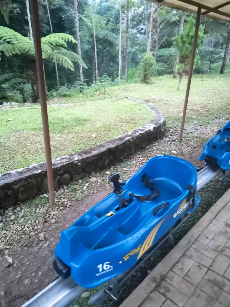 IMG_20220827_161529.jpg