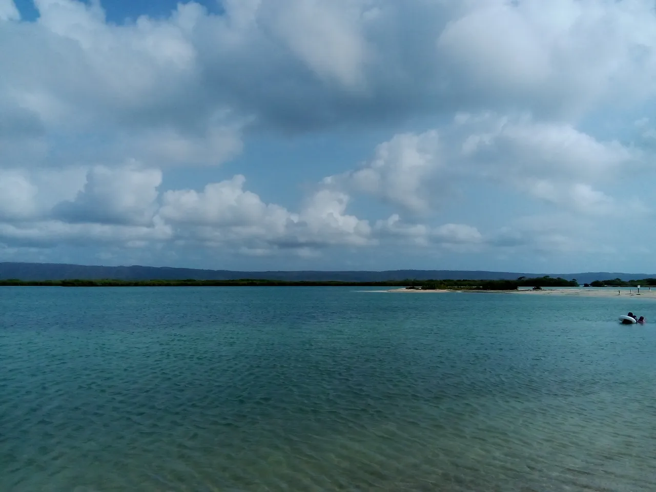 IMG_20240316_092206.jpg