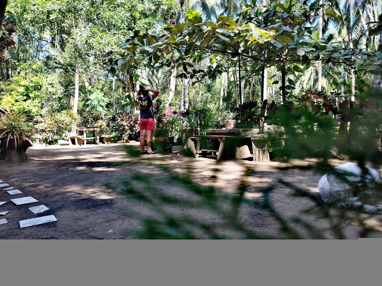 IMG_20250224_092019.jpg