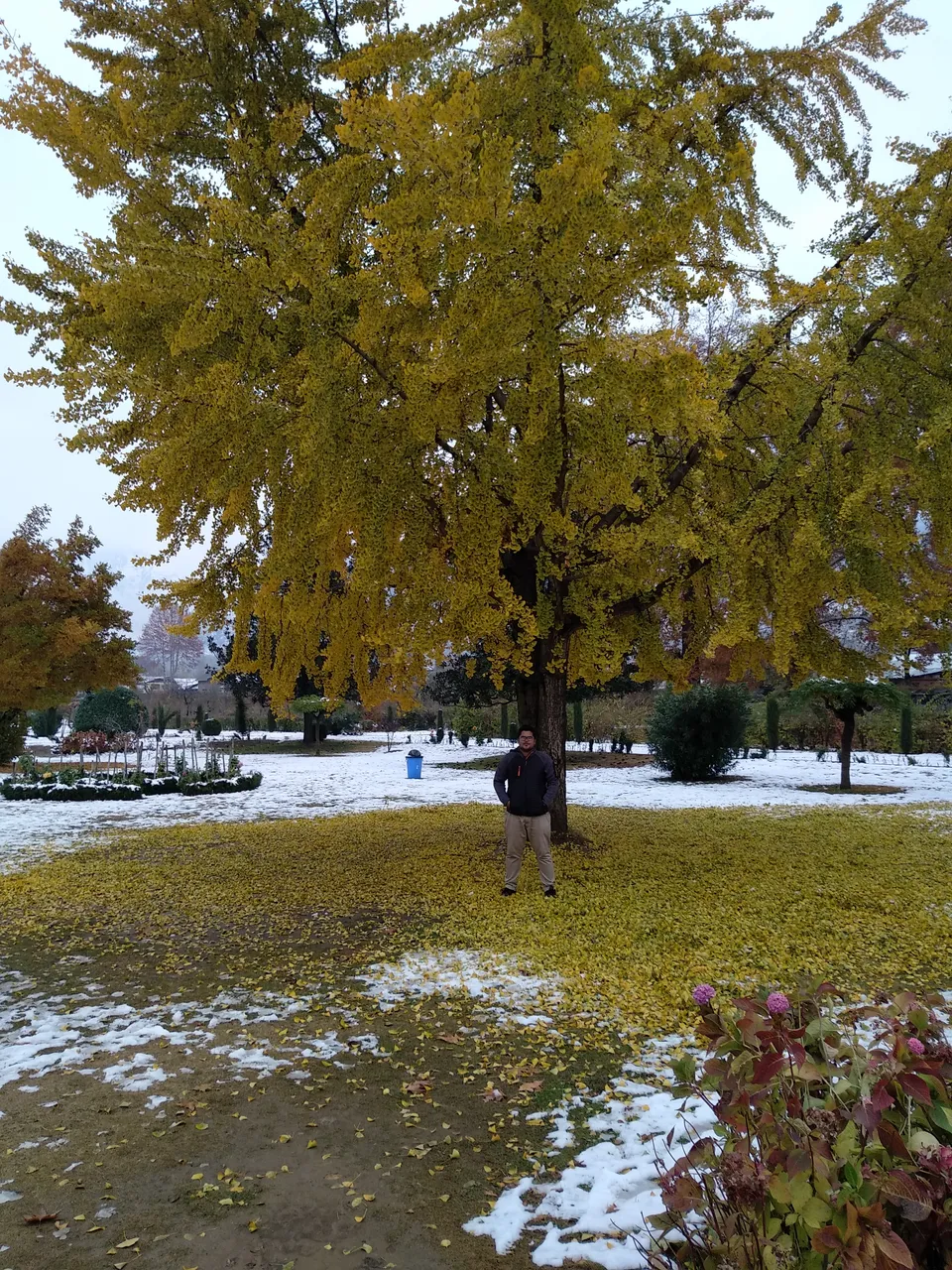 IMG_20181104_160433.jpg