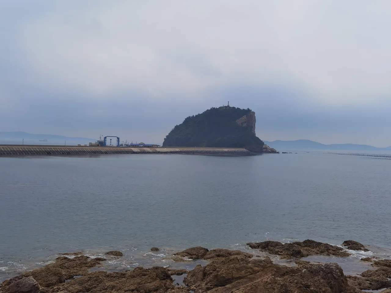 金婵6.jpg